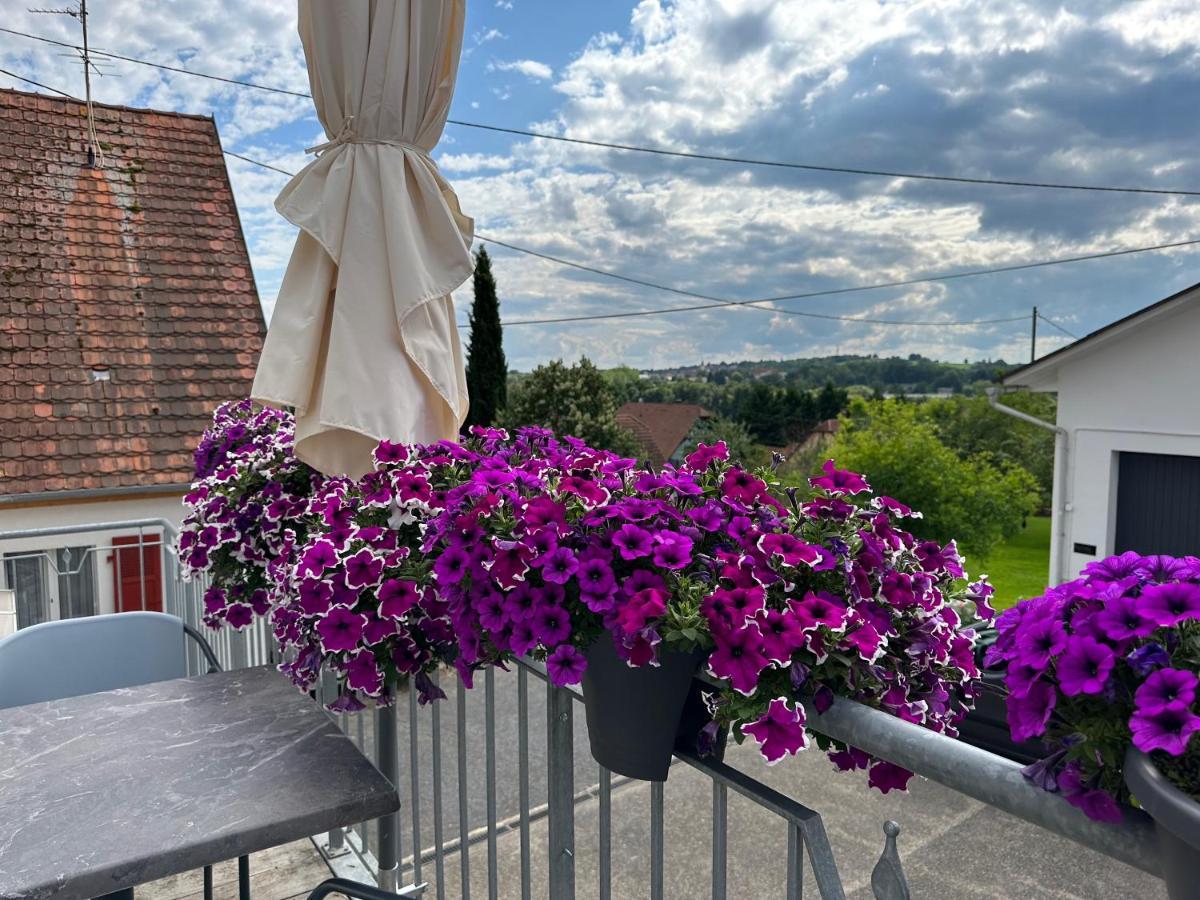 Au Parfum Des Roses Apartment Gunstett Екстериор снимка
